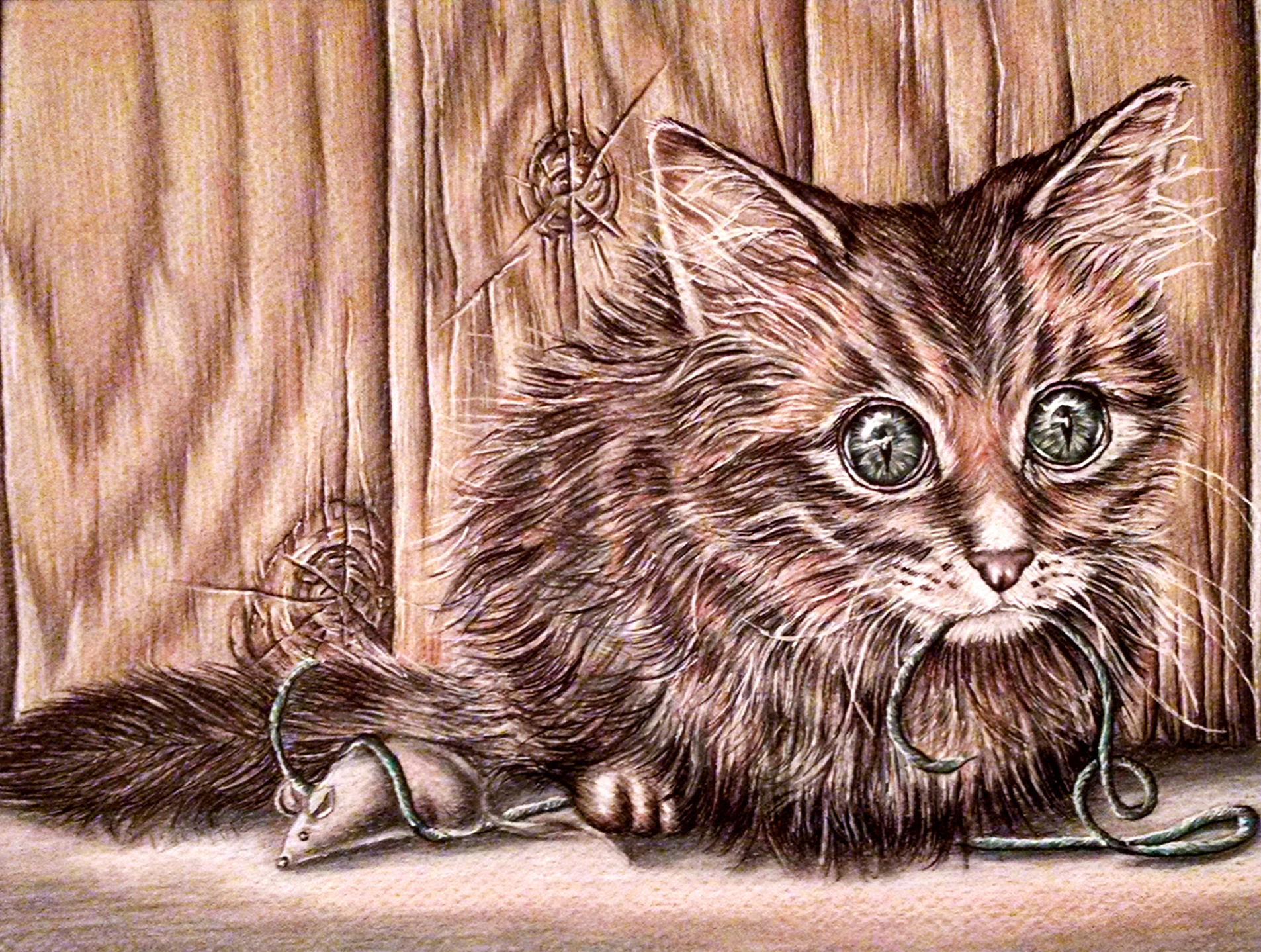 cat art print part of a cute kitten face watercolor pencil drawing pet portrait cat lover/'s gift
